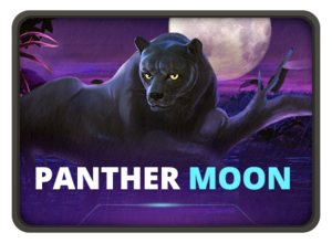 Panther Moon